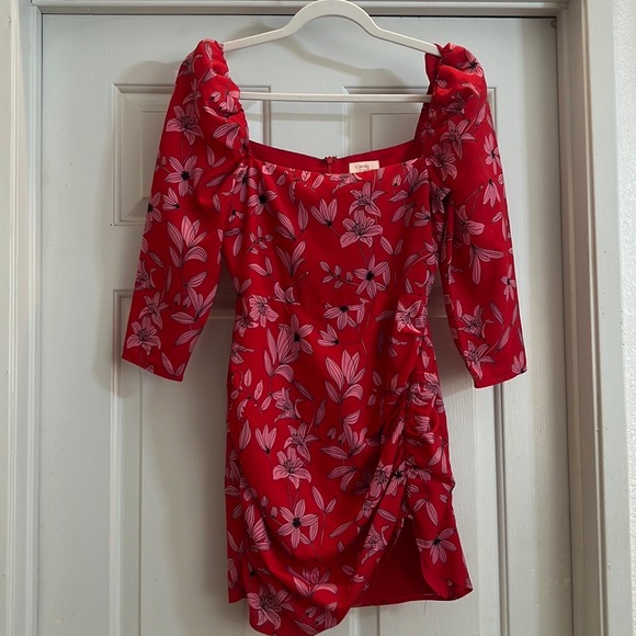 Camila Coelho Red mini dress - Picture 4 of 4